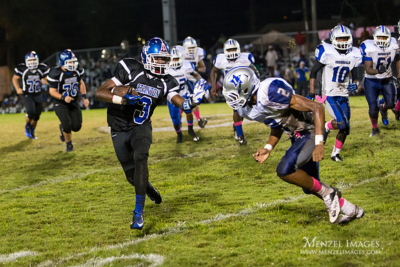 Stanton Blue Devils Football
